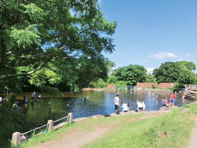 水前寺江津湖公園(上江津)