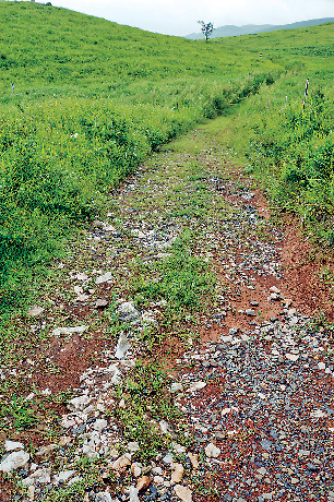 【秋吉台×見どころ】地獄台