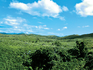 秋吉台ってどんなところ?