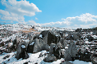 秋吉台ってどんなところ?