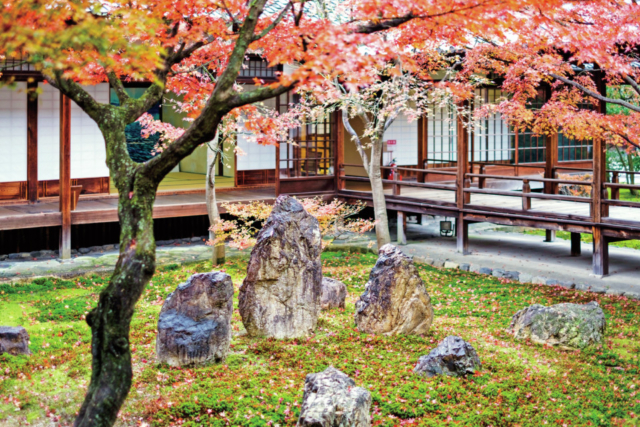 【建仁寺ここが見どころ】潮音庭