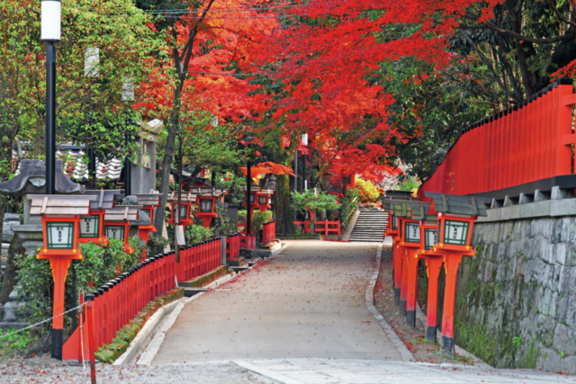 清水寺周辺の紅葉おすすめスポット 八坂神社