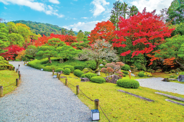 清水寺周辺の紅葉おすすめスポット 知恩院