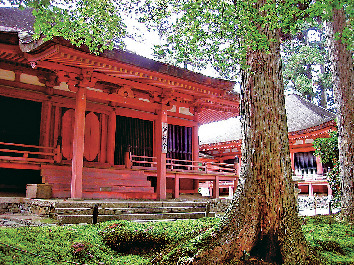【比叡山延暦寺・西塔】<重文>にない堂