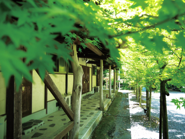 【平山温泉×美肌の湯】喧騒とは無縁の一軒宿の湯処でのんびり「旅館・家族湯 いまむら」