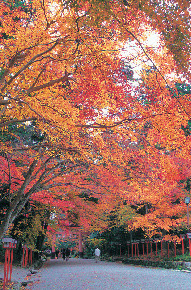 【滋賀・坂本×観光】京の鬼門を守り続けてきた古社「日吉大社」