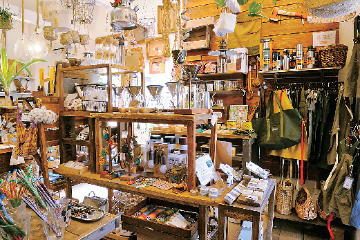 【滋賀×植物】TREES