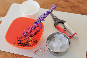 ハーブのグリセリンソープ作り