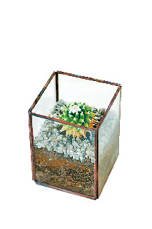 【滋賀×植物】VOID A PART