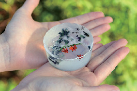 ハーブのグリセリンソープ作り