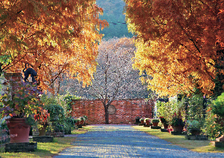 English Garden ローザンベリー多和田