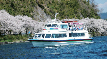 琵琶湖 遊覧船&湖上クルーズ情報④ 海津大崎 桜花見船