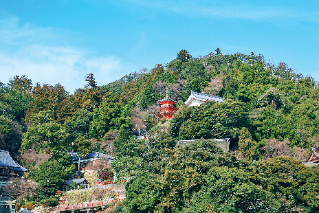 竹生島観光ナビ① 大弁才天を祀る寺「宝厳寺」