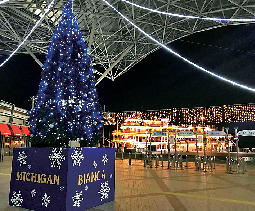 琵琶湖 遊覧船&湖上クルーズ情報⑥ クリスマスクルーズ(大津港発着)