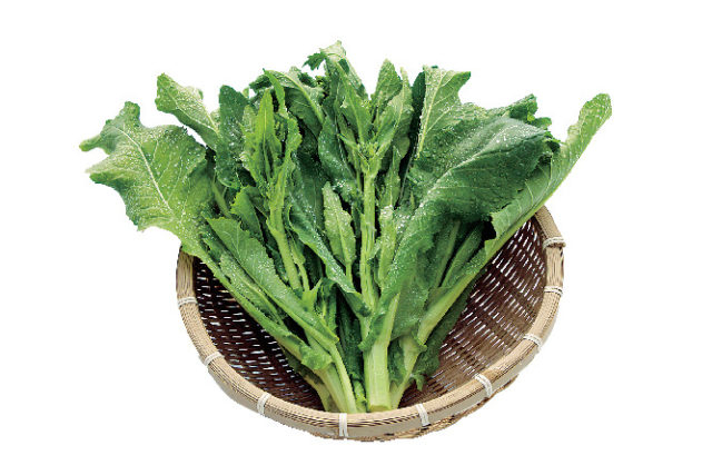 【滋賀】近江の伝統野菜とは?