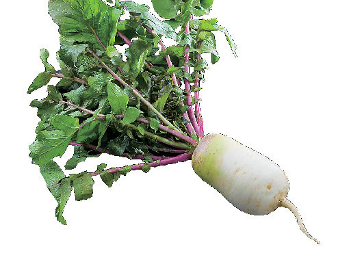 【滋賀】近江の伝統野菜とは?