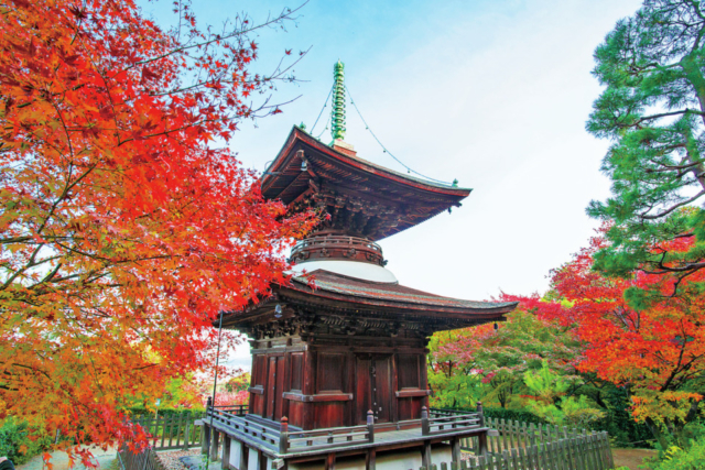 嵐山・嵯峨野周辺の紅葉おすすめスポット 常寂光寺