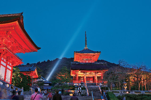 【清水寺のここが見どころ】ライトアップ