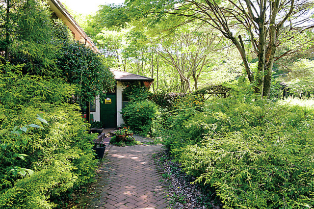 雑木林の中から香る石窯の匂いに誘われて「石窯ピッツァ スタジオーネ」