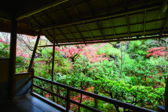 嵐山・嵯峨野周辺の紅葉おすすめスポット 厭離庵