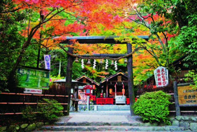 嵐山・嵯峨野周辺の紅葉おすすめスポット 野宮神社