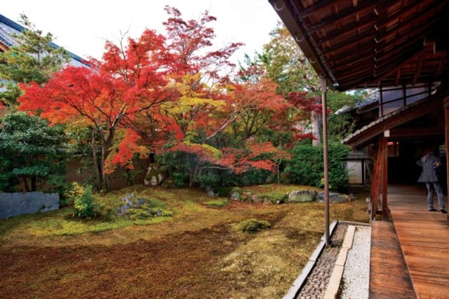 嵐山・嵯峨野周辺の紅葉おすすめスポット 清凉寺(嵯峨釈迦堂)