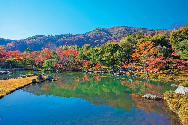 嵐山・嵯峨野周辺の紅葉おすすめスポット 天龍寺(世界遺産)