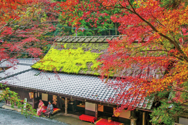 嵐山・嵯峨野周辺の紅葉おすすめスポット 嵯峨鳥居本