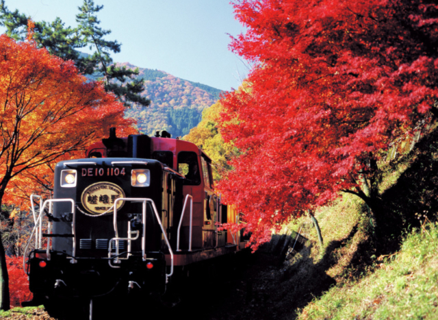 嵯峨野トロッコ列車