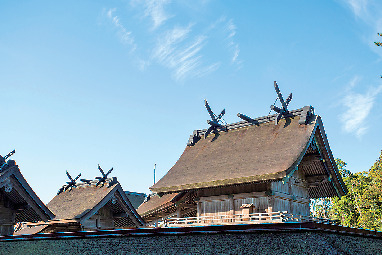 【出雲大社のお社】良縁を求める人々が参拝する神聖な場所「御本殿」