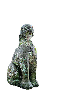 【松江で縁結び祈願】八重垣神社