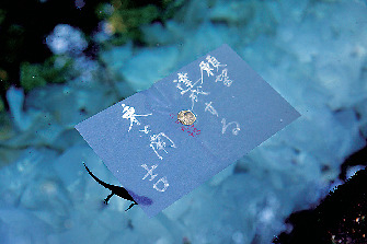 【松江で縁結び祈願】八重垣神社