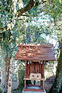 【松江で縁結び祈願】玉作湯神社