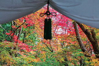 善峯寺周辺 散策のおすすめモデルコース