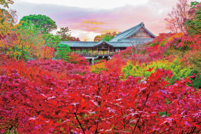 東福寺周辺の紅葉おすすめスポット 通天橋から屈指の絶景を臨む「東福寺」