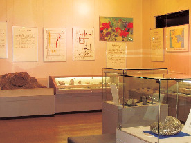 秋吉台の観光スポット④ 美祢市化石館