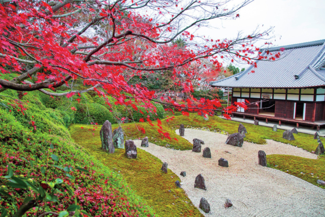 四季折々に趣ある姿を見せる庭園が見事な「光明院」