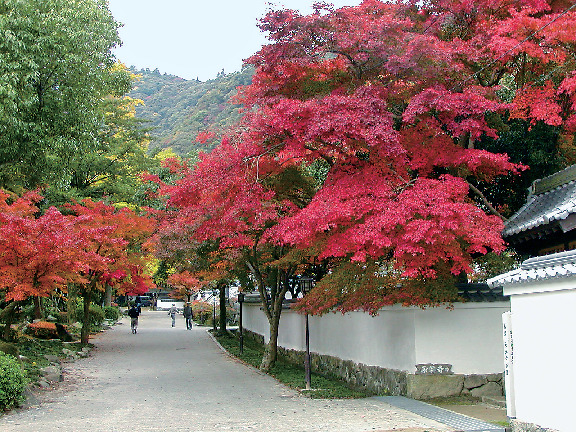 吉香公園の見どころ⑦紅葉谷公園
