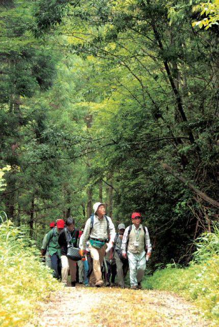 森林セラピー基地
