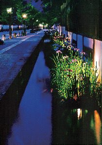 津和野の観光スポット 殿町通り