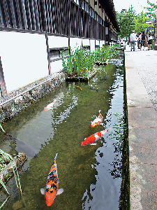 津和野の観光スポット 殿町通り