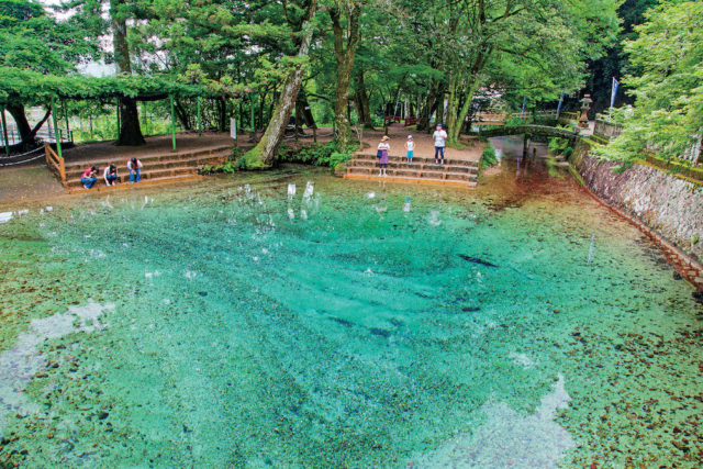別府弁天池はこんなところ