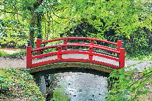 別府弁天池はこんなところ