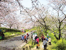 宇部の観光スポット 竜王山公園