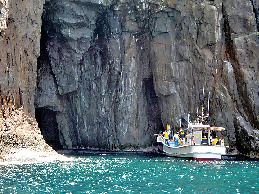 須佐ホルンフェルス