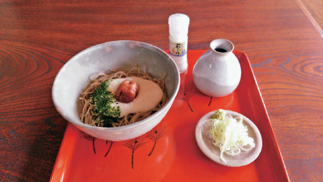 萩おすすめのグルメスポット がんこ庵