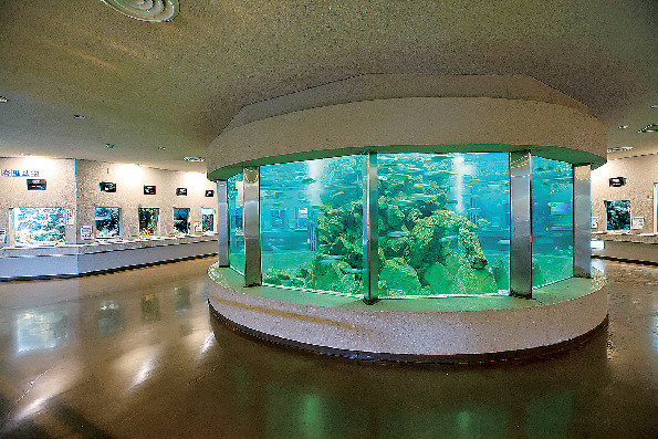 京都大学白浜水族館