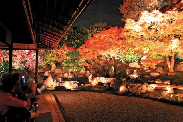 清水寺周辺の紅葉おすすめスポット 圓徳院
