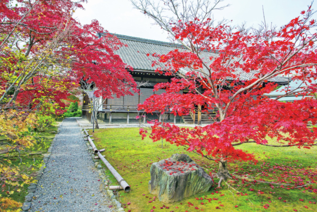 醍醐寺・隨心院・勧修寺エリアの紅葉おすすめスポット 勧修寺