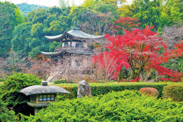 醍醐寺・隨心院・勧修寺エリアの紅葉おすすめスポット 勧修寺